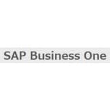 SAP Business One